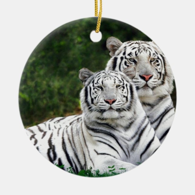 White Tigers Ceramic Ornament (Front)