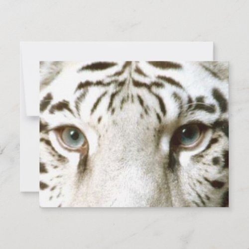 WHITE TIGER'S EYES INVITATION ~ EZ TO CUSTOMIZE!