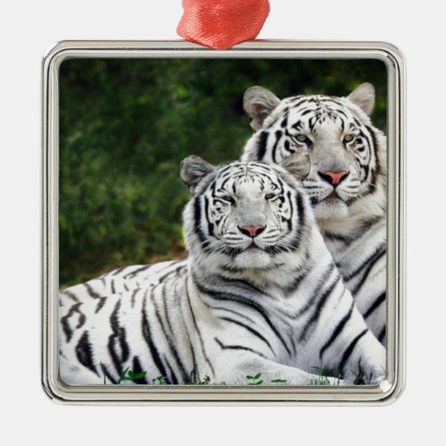 White Tigers Metal Ornament (Front)