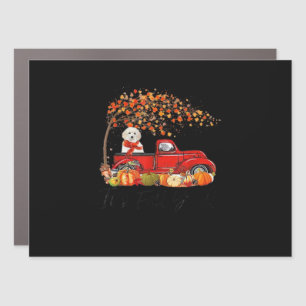 White Toy Poodle It’s Fall Y’all Pumpkin Fall Car Magnet