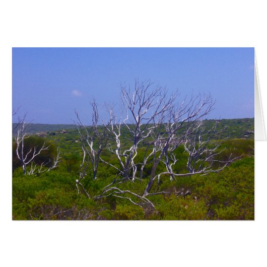 white tree cards (Front Horizontal)