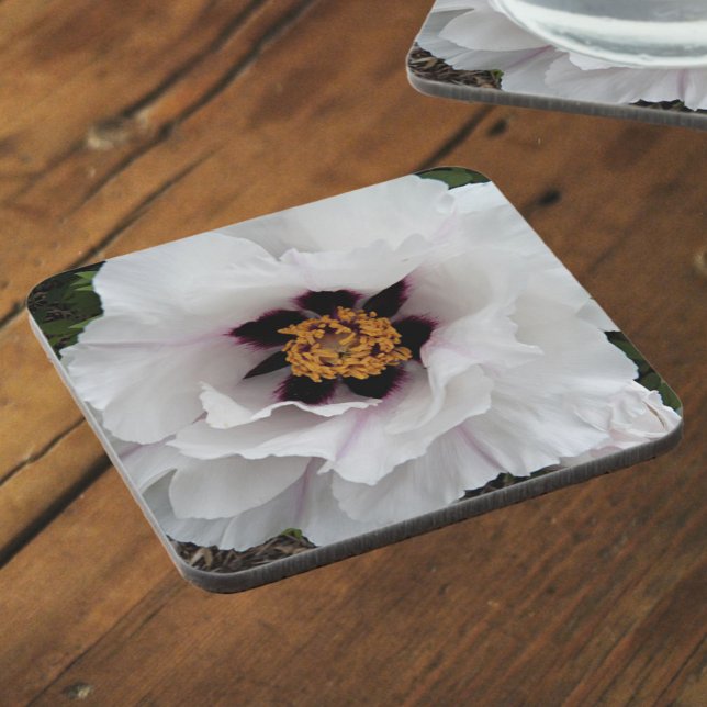 White Tree Peony Floral Beverage Coaster (In Situ)