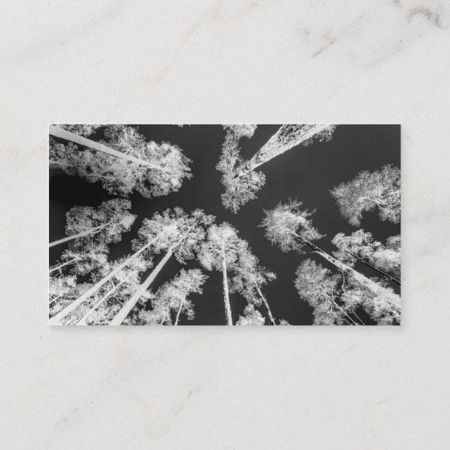 White Trees Business Card (Back)