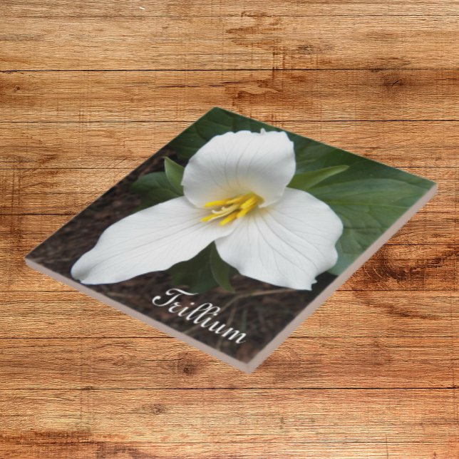 White Trillium Flower Floral Tile (In Situ)