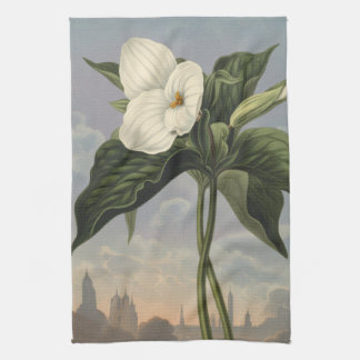 White Trillium Flower in Temple of Flora Style  Kitchen Towel