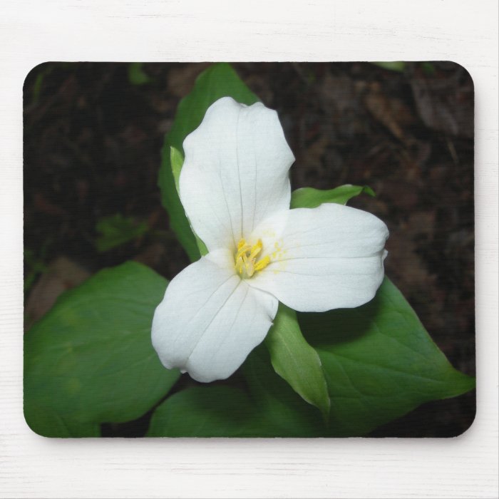 White Trillium Flower mousepad