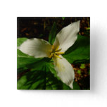 White Trillium Flower Spring Wildflower Button