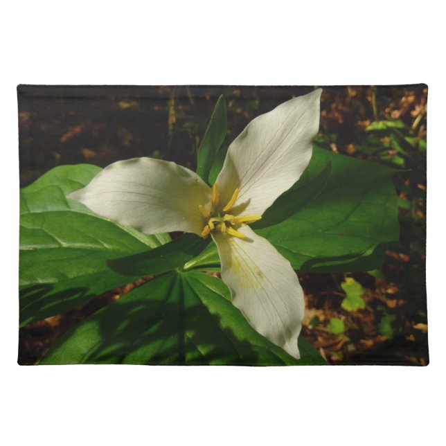 White Trillium Flower Spring Wildflower Cloth Placemat (Front)