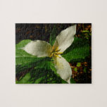 White Trillium Flower Spring Wildflower Jigsaw Puzzle