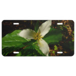 White Trillium Flower Spring Wildflower License Plate