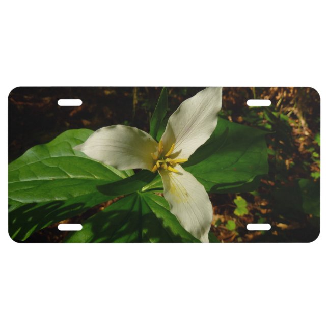 White Trillium Flower Spring Wildflower License Plate (Front)
