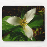 White Trillium Flower Spring Wildflower Mouse Pad