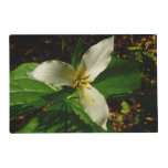 White Trillium Flower Spring Wildflower Placemat