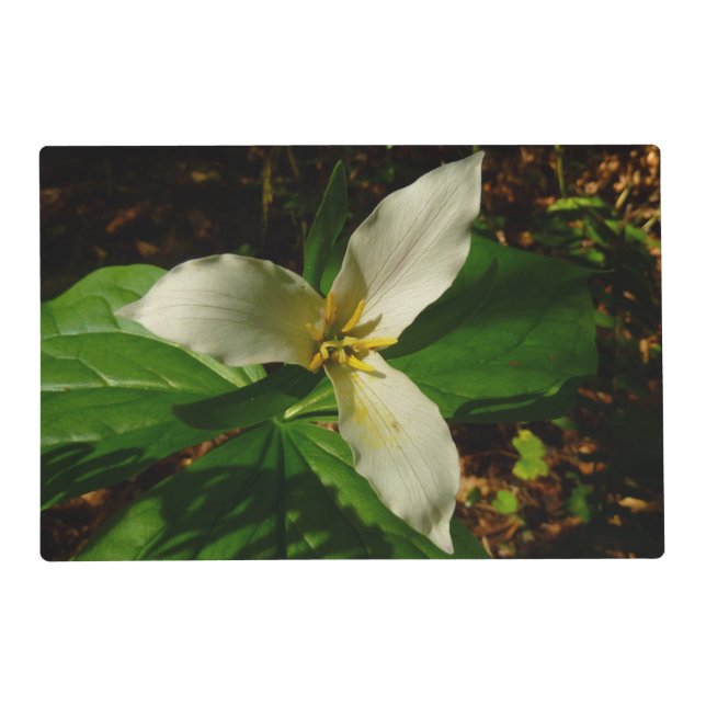 White Trillium Flower Spring Wildflower Placemat (Front)