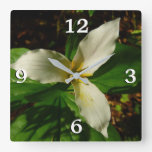White Trillium Flower Spring Wildflower Square Wall Clock