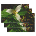 White Trillium Flower Spring Wildflower Wrapping Paper Sheets