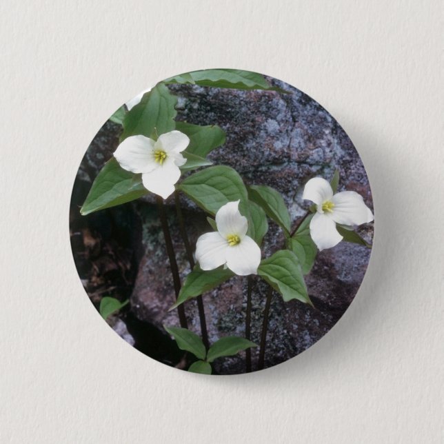 white Trillium flowers Button (Front)