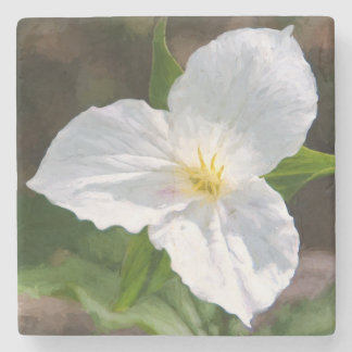 White Trillium Stone Coaster