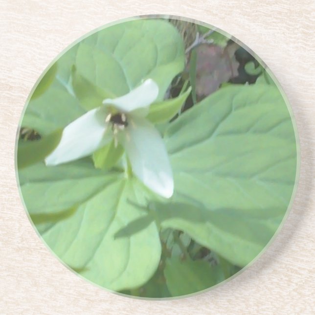 white trillium with greenry drink coaster (Front)