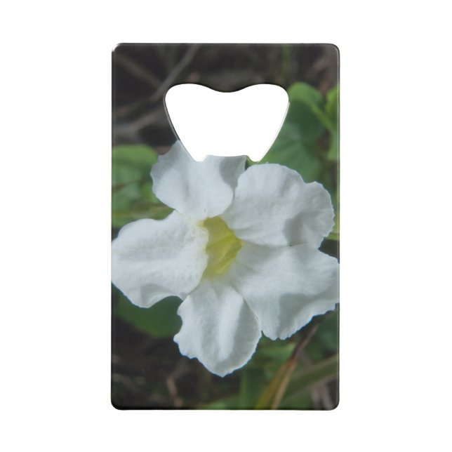 White Tropical Flower Found on Fiji Credit Card Bottle Opener (Front)
