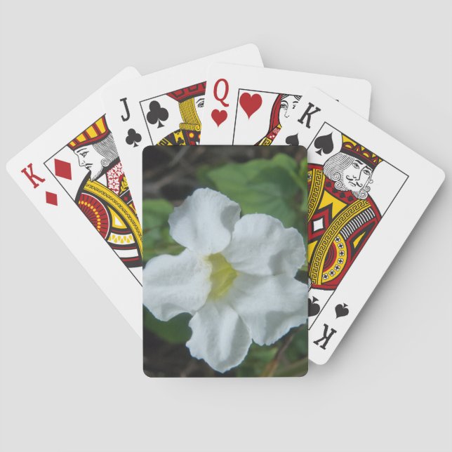 White Tropical Flower Found on Fiji Poker Cards (Back)