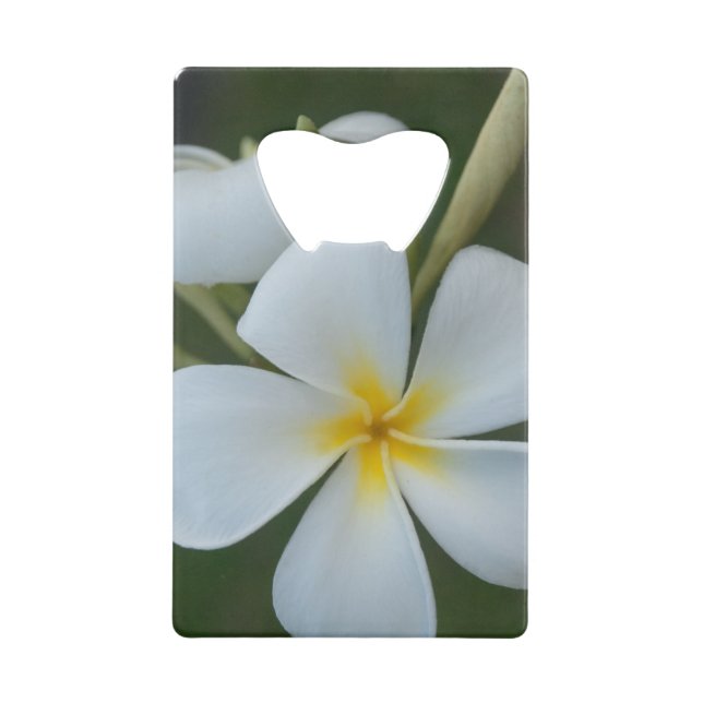White Tropical Flower From Fiji Credit Card Bottle Opener (Front)