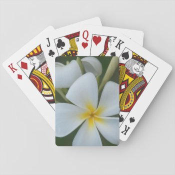 White Tropical Flower From Fiji Playing Cards by pjwuebker at Zazzle