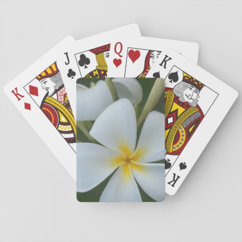 White Tropical Flower From Fiji Poker Cards