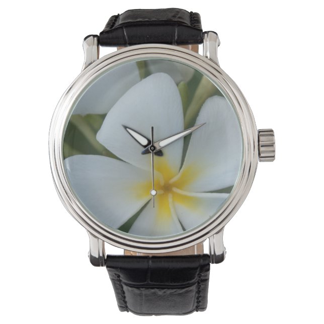 White Tropical Flower From Fiji Watch (Front)
