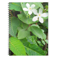 White Tropical Flowers Notebook