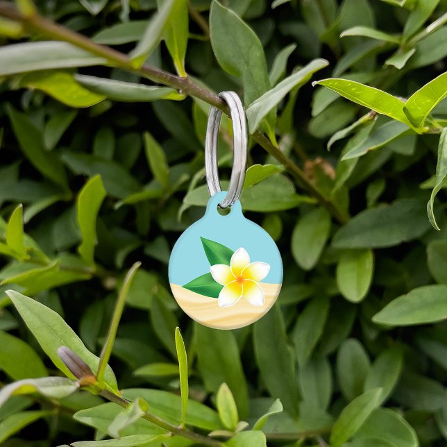 White Tropical Frangipani Flower & Custom Info Pet ID Tag (Creator Uploaded)