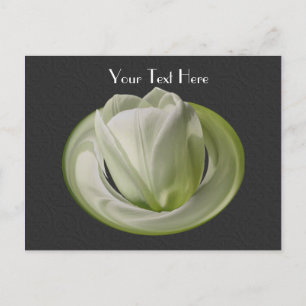 White Tulip Black Floral Customizable Postcard