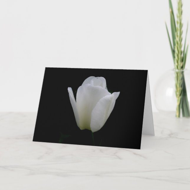 White Tulip Card (Front)