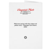 White Tulip Card (Back)