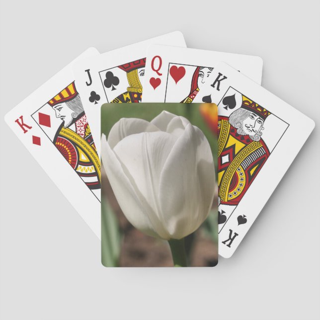 White Tulip Flower In Sunlight  Poker Cards (Back)