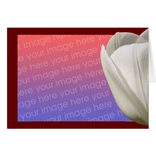 White Tulip Flower Photo Card (Front Horizontal)