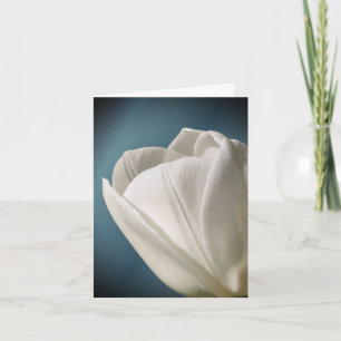 White Tulip Flower Photography Note Card