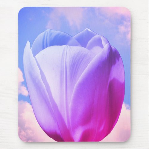 White Tulip Flower Tinted Mouse Pad