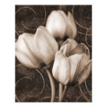 White Tulip Flowers Sepia Black Background Floral Photo Print at Zazzle