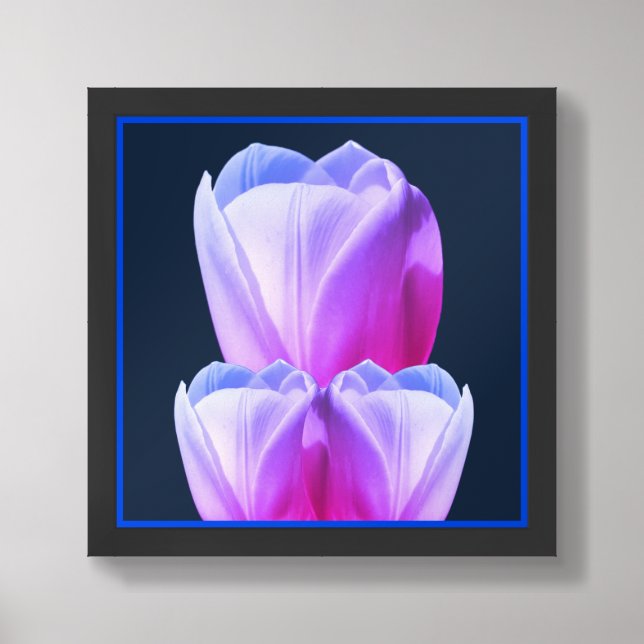 White Tulip Flowers Tinted Framed Framed Art (Framed Front)