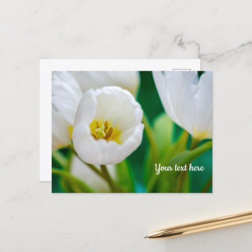 White Tulip Greeting card