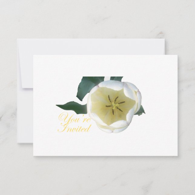 White Tulip INvitation (Front)