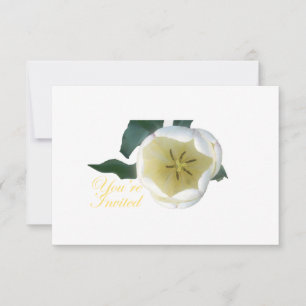 White Tulip INvitation