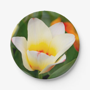 White Tulip Paper Plates