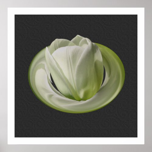 White Tulip Petals Floral Print