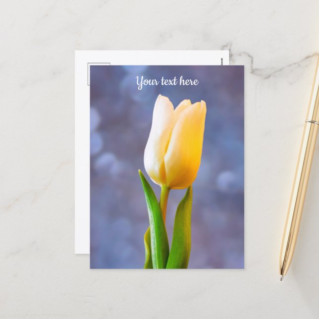 White Tulip Postcard (Front/Back In Situ)