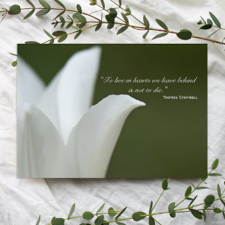 White Tulip Thank You for Your Sympathy Card