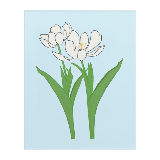 White Tulipo Acrylic Art Print (Front)