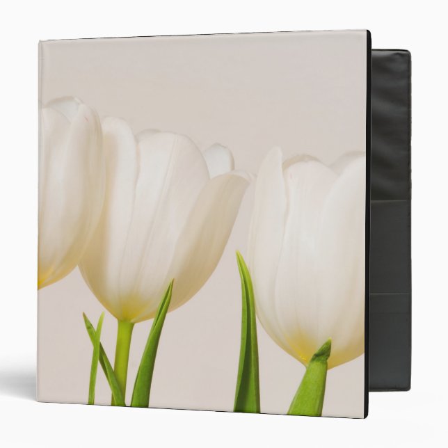 White tulips against a white background, 3 ring binder (Front/Inside)
