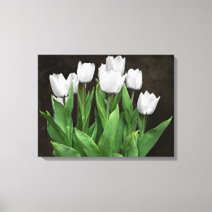 White Tulips Canvas Print
